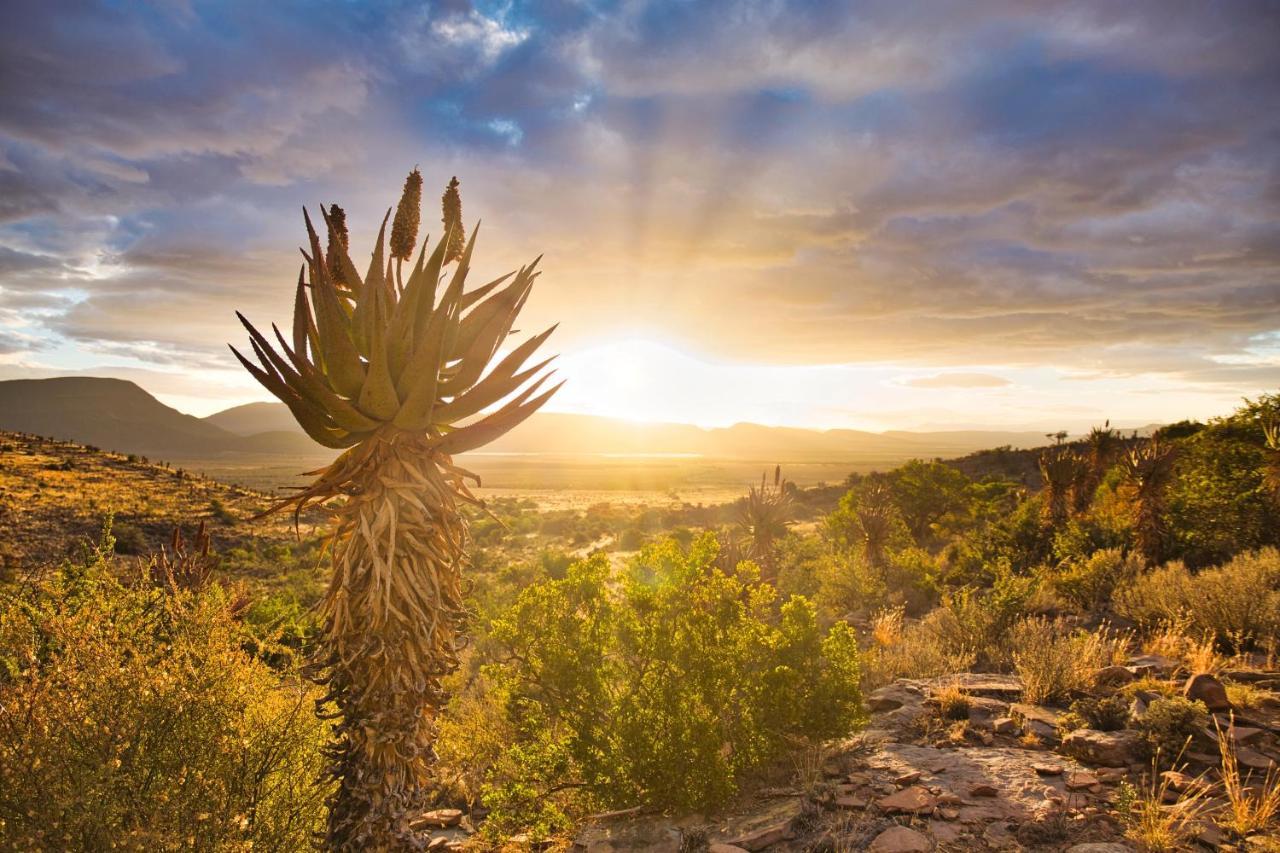 Ironstone Cottage Graaff Reinet Bagian luar foto